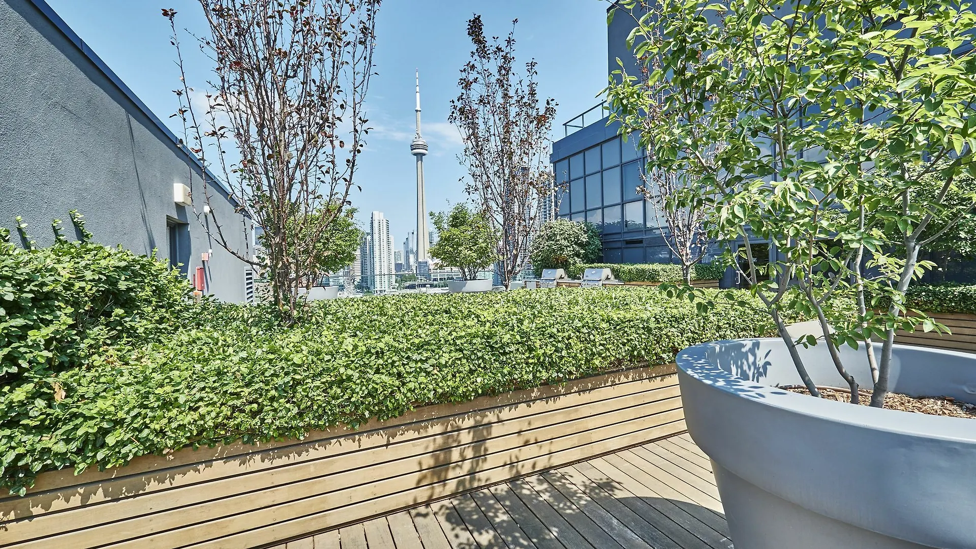 Toronto Escape - Moonstone Suite Hotel